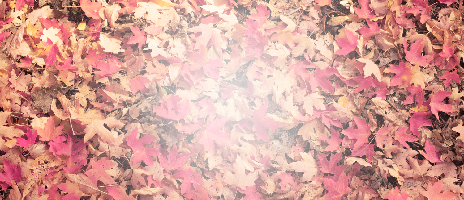 Fall Flash Sale!